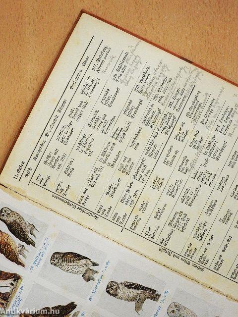 Was fliegt denn da? (gótbetűs)