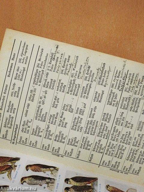 Was fliegt denn da? (gótbetűs)