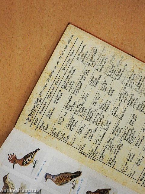 Was fliegt denn da? (gótbetűs)