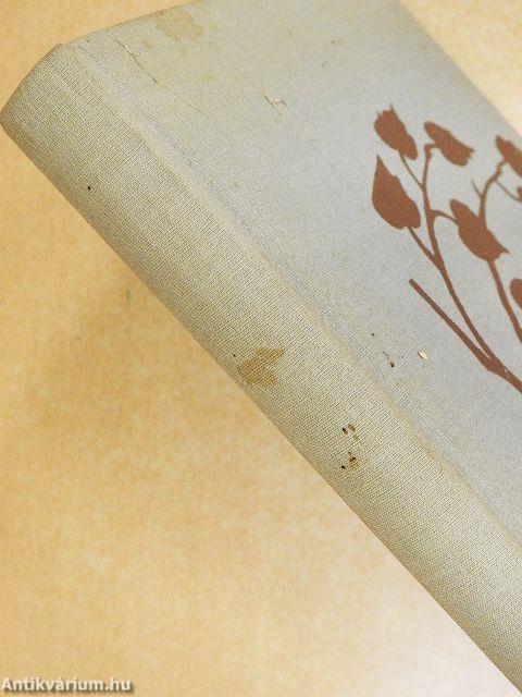 Légy jó mindhalálig