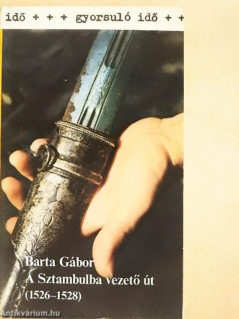 A Sztambulba vezető út (1526-1528)