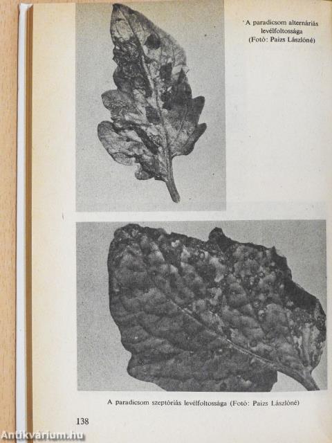 Házikerti zöldségfélék növényvédelme