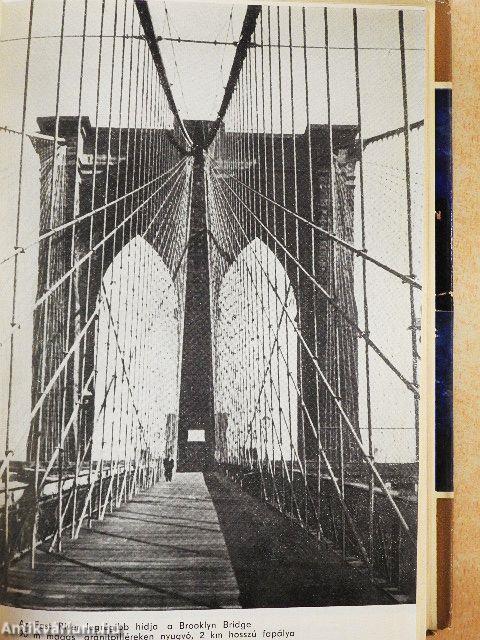 Egy francia házaspár Amerikában