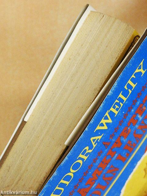 A számkivetett indián leányzó