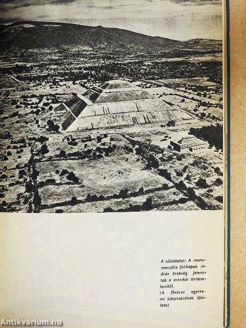 A kolibri irányában...