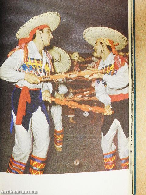 A kolibri irányában...