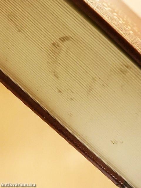 Sorstalanság/A kudarc/Kaddis...