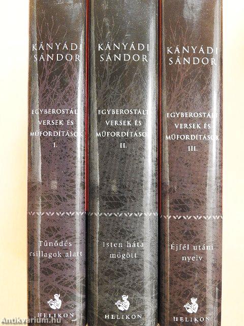 Egyberostált versek és műfordítások I-III.