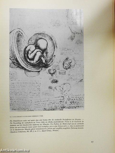 De humani corporis fabrica