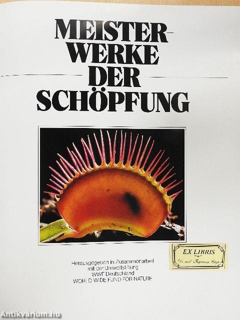 Meisterwerke der schöpfung