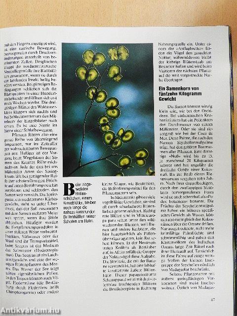 Meisterwerke der schöpfung