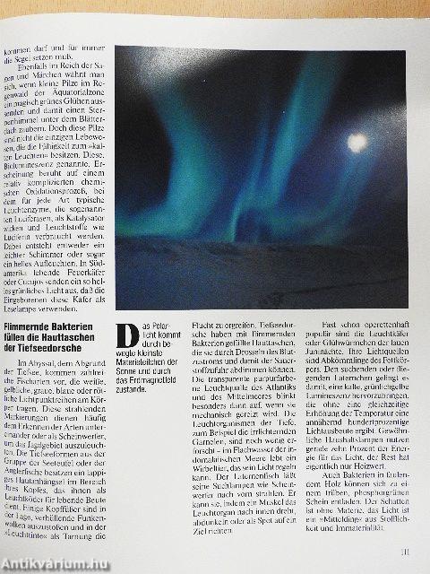 Meisterwerke der schöpfung