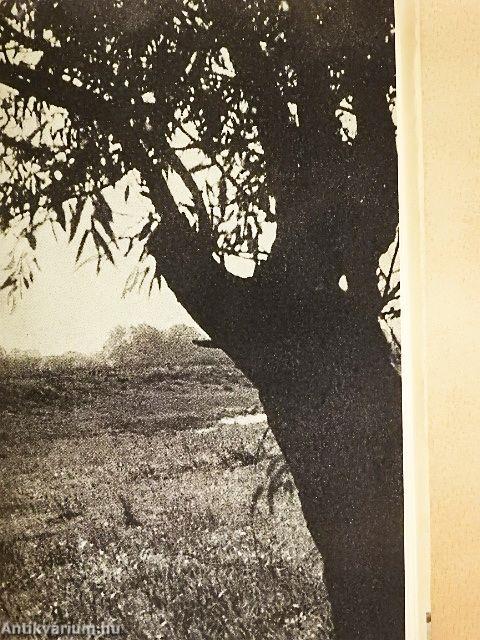 A Csallóköztől a Bodrogközig