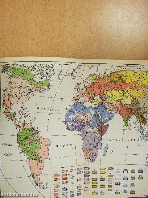 Népek, rasszok, kultúrák