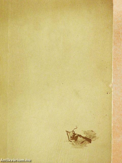 Fény a hegyek között