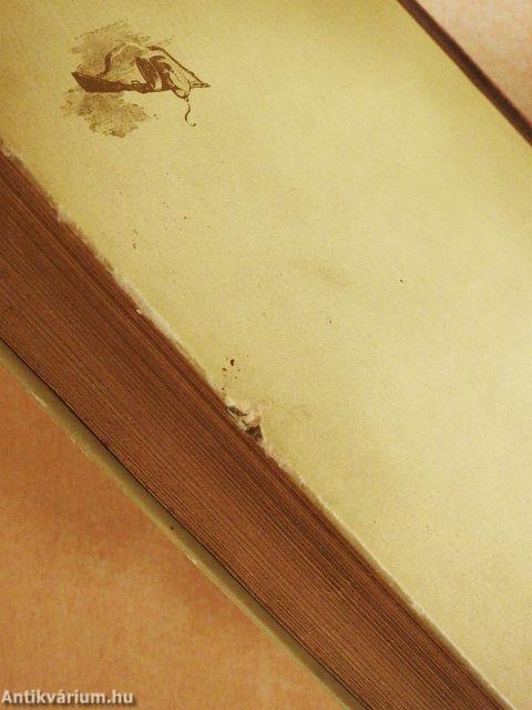 Fény a hegyek között