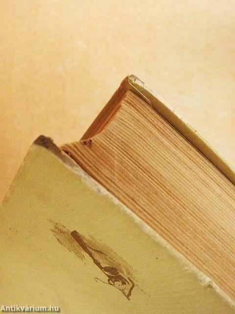 Fény a hegyek között