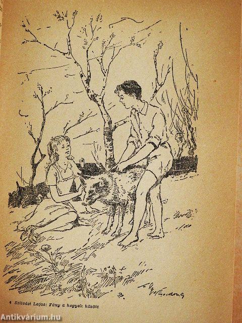 Fény a hegyek között