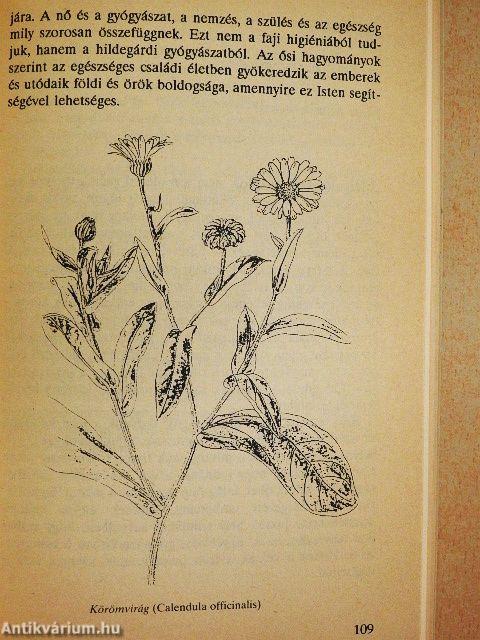 Így gyógyít Isten