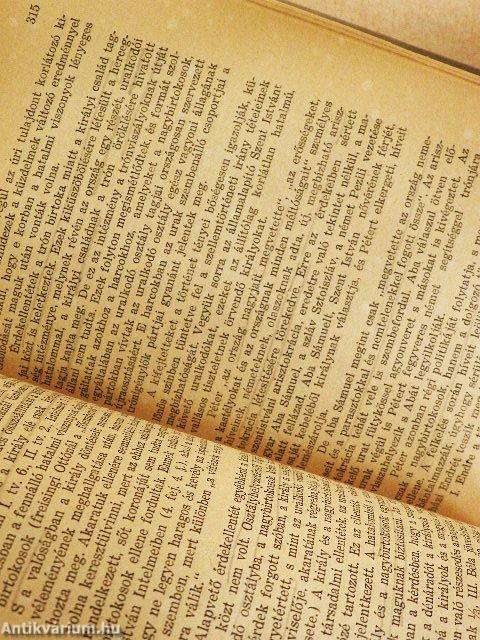 A magyar társadalom története az őskortól az Árpádkorig 