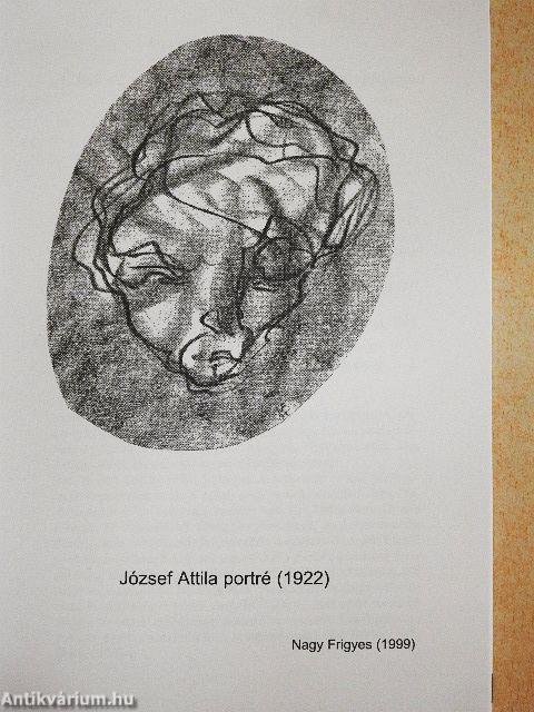 József Attila pszichiátria betegsége(i)