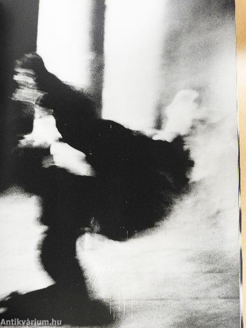 Studio St. Petersburg