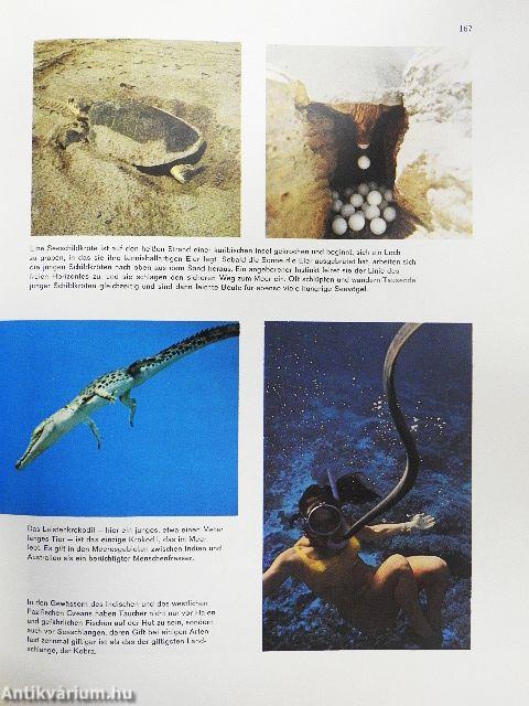 Das große Reader's Digest Buch der Ozeane