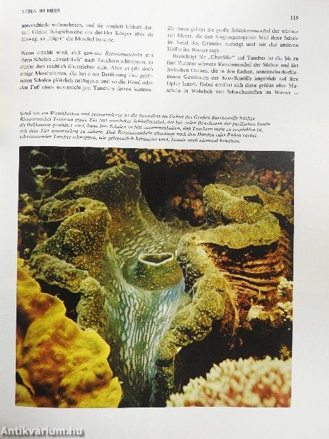 Das große Reader's Digest Buch der Ozeane