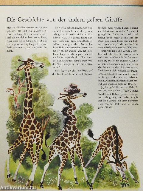 Kunterbunte Tiergeschichten