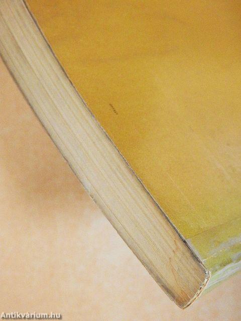 A magyar gazdaság száz éve