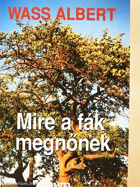 Mire a fák megnőnek