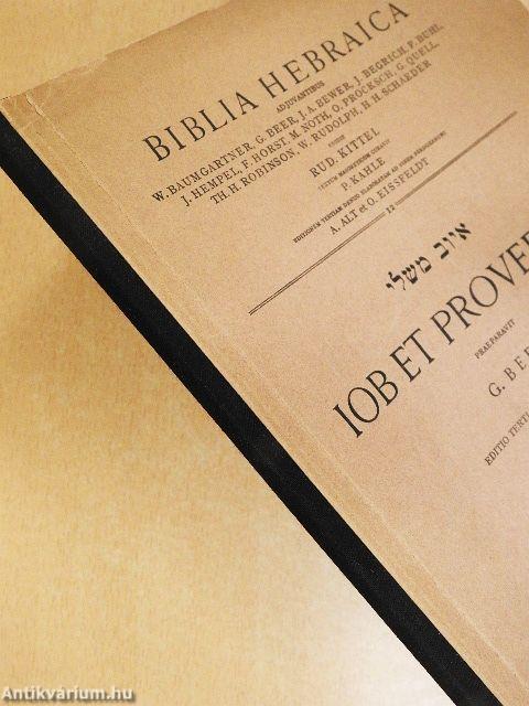 Iob et proverbia