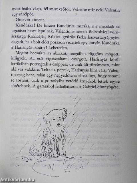 Sziget-kék