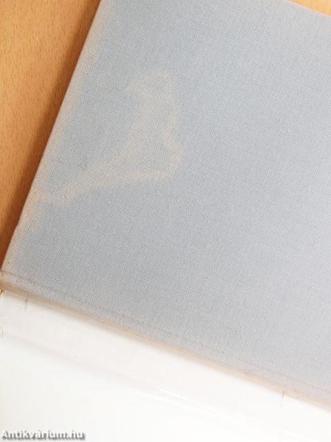 Amiről a térkép mesél