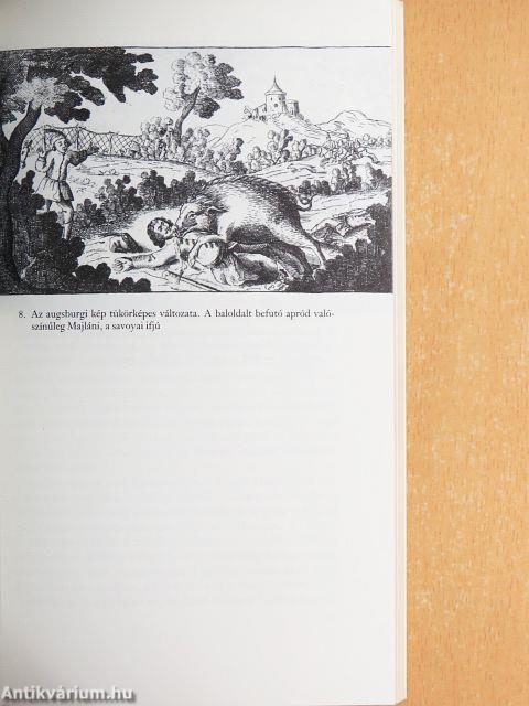 Zrínyi és a vadkan