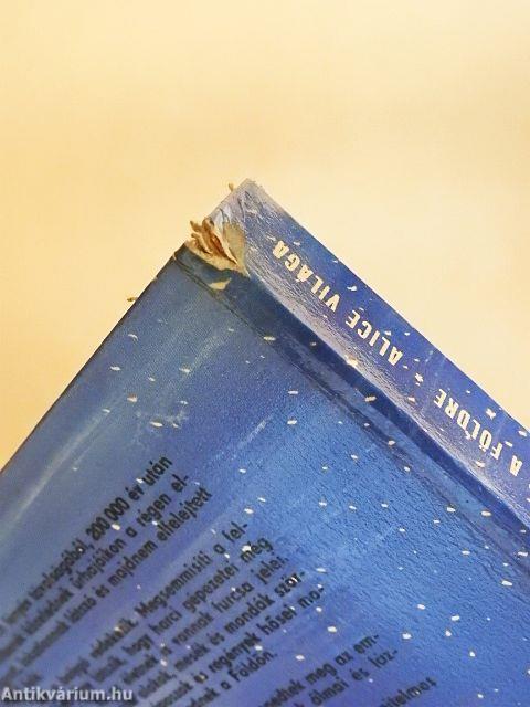 Visszatérés a Földre/Alice világa