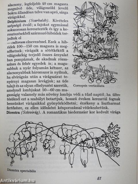 Kezdő kertészkedők könyve