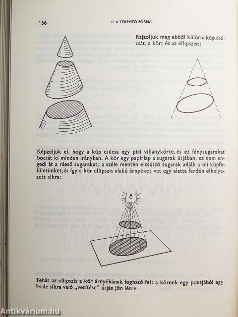 Játék a végtelennel