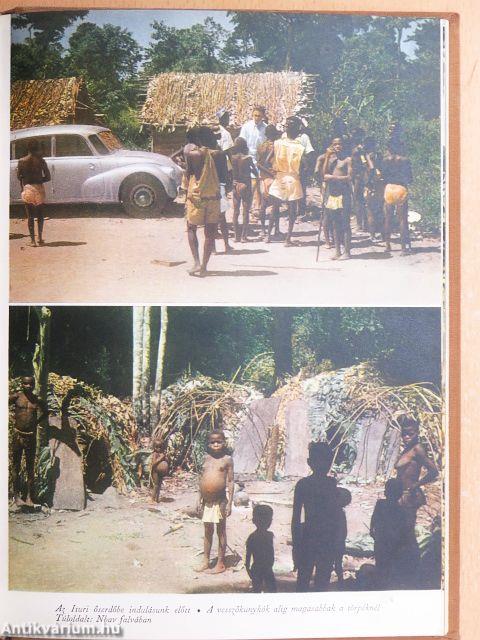 Afrika az álmok világában és a valóságban 1-3.