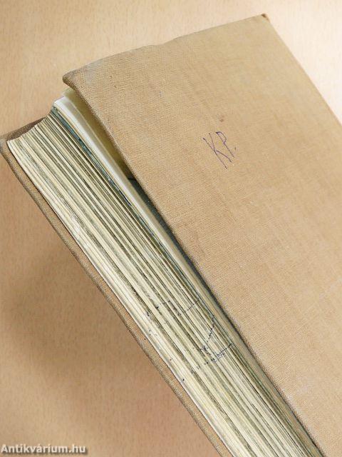 Afrika az álmok világában és a valóságban 1-3.