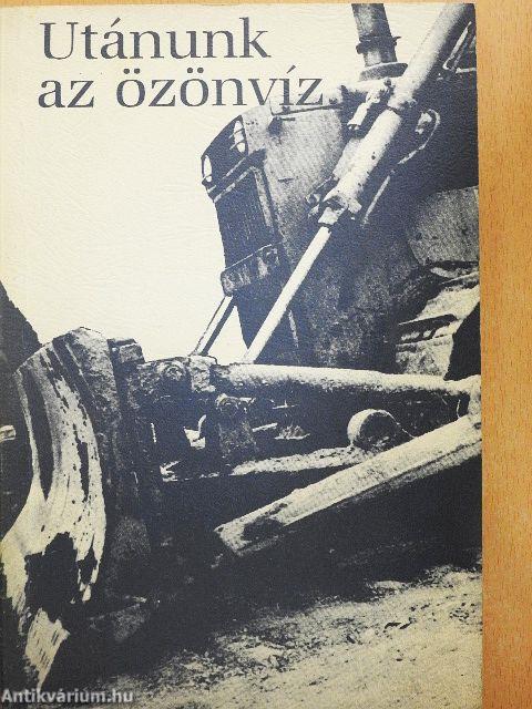 Utánunk az özönvíz