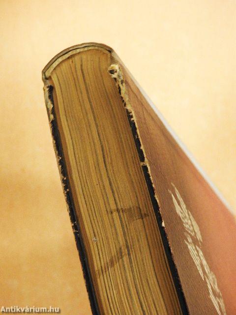 A berchtesgadeni sasfészektől a berlini bunkerig