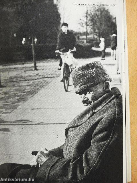 Bács-Kiskunból jövök