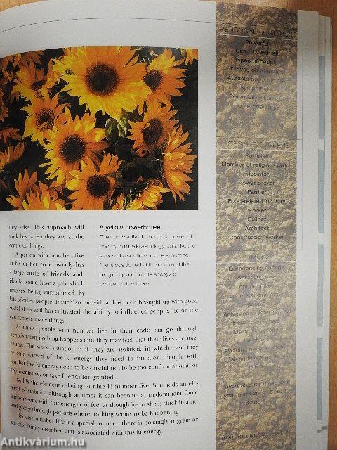 Practical Feng Shui Astrology