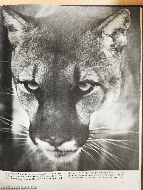 The Land and Wildlife of North America