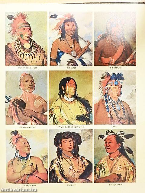 The Land and Wildlife of North America