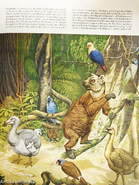 The Land and Wild-life of Africa