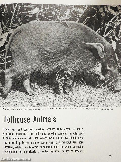 The Land and Wild-life of Africa