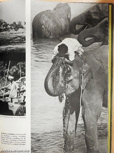 The Land and Wild-life of Tropical Asia