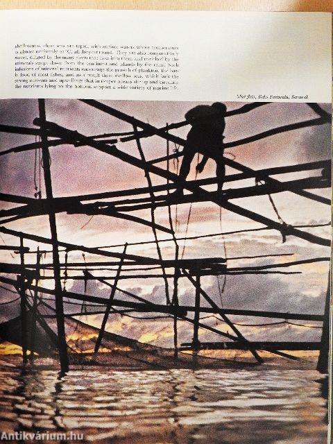 The Land and Wild-life of Tropical Asia